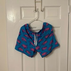 Men’s 5.5” Chubbies Swimsuit Mesh Lining Turtles
